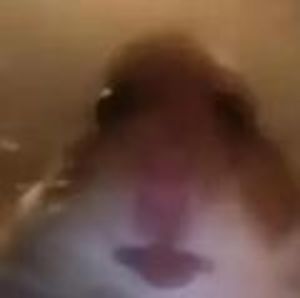 Meet your Posher, Fahad